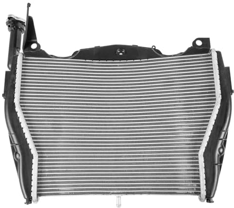 Compatible Con S1000RR 2015 2016 2017 2018 Radiador Scooters Accesorios Motocicleta Radiador Aluminio Para Motocicleta Tanque Agua Refrigeración Radiadores Radiador de motocicleta