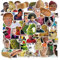LYLSDSB 50 Stück Funny Meme Aufkleber Vinyl wasserdichte Classic Meme Sticker für Laptop Fahrrad Skateboard HydroFlask Scrapbook Gepäck iPhone Wasserflaschen Auto Stickers für Jugendliche Kinder
