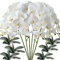 FagusHome 6 Stück künstliche Phalaenopsis Orchideen Blumen Weiß mit 6 Bündeln Künstliche Orchidee Blätter für Deko