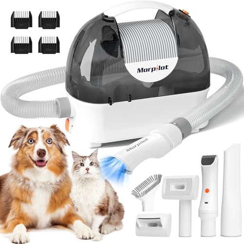 Morpilot Aspirateur Professionnel pour Chien et Chat - 12000Pa avec 3L Grand Bac à Poussière, 5 Outils de Toilettage