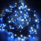 LightsGo 300LED Christmas Fairy Lights Withe Alternate Blue & White Bulbs! Decorative Lights for The Indoors and Outdoors. 8H Timer