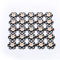 VOBOR LED wachsen Licht Chip-25Pcs / Pack 3W Vollspektrum LED-Anlage wachsen Licht Chips für Sämling, Gartenarbeit, Hydroponik, Gewächshaus (mit 20mm PCB)