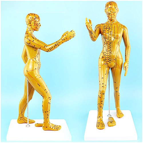 Akupunktur Modell - 50CM Lauf Akupunktur und Moxibustion für Female Human Acupoints - Physiotherapie Teaching Demonstration Modell - Human Akupunktur Modell,A