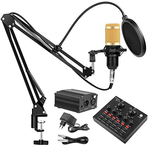 Kit de Microphone à condensateur Professionnel BM 800 Studio Enregistrement Vocal Microfone karaoké avec Support de Micro pour Carte Son pour Ordinateur PC (Color : Gold, Size : B2)