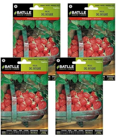 Pack 4 Semillas de fresas del bosque Semillas Batlle