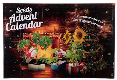 Holyart Calendario Avvento Semi da piantare 24 Giorni Camino Natalizio