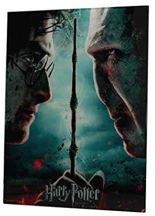 SD toys Poster Harry Potter und Voldemort, mehrfarbig, 41 x 31 x 3 cm