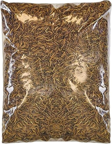 SQUAWK Gusanos Secos - Alimento Aves Silvestres, Aperitivos de Jardín para Pájaros (2.5KG)