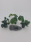 SAHAWA Wasserpflanzen Set 3 Anubias 1x Nana 1x bateri 1x Coin Leaf echte Auarienpflanzen mit schöner Amphore (Kunstharz) Deko Set