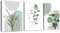 WENGTIAO 3 Pièces Boho Sage Vert Plantes Tableau Decoration Murale Encadré Toile Peinture Esthétique Ligne Géométrique Decoration Murale Salon Maison Deco Chambre Prêt à Accrocher 40x60cmx3