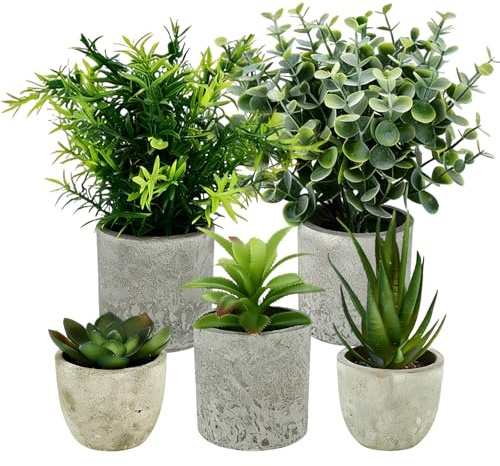 MFUSUL 5 Pezzi Piante Artificiali, Mini Piante Finte Serpentine, Agave Succulente, Aloe Artiglio, Set di Vasi Artificiali per Camera da Letto Ufficio Decorazione