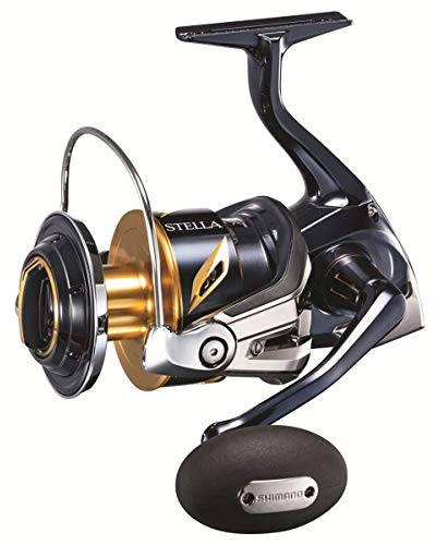 Shimano Stella 19 SW-C 10000PG