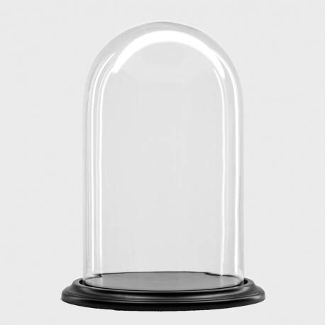 Glass dome with black wooden base Ø 22 cm x H 30 cm
