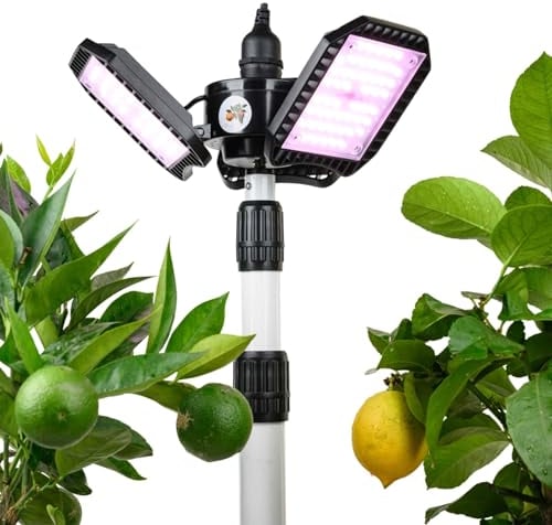 Meine Orangerie - Lampada LED per piante FLEX [100W] - Lampada LED a spettro completo per piante mediterranee - Progettato con i professionisti delle piante agrumate (lampada LED con treppiede)