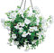 bellissa 2 Stück Hängeampel/Blumenampel – 97735/97736 – Blumentopf – zum bepflanzen außen & innen – groß – Hanging Basket inkl. Kokoseinsatz Ø35 cm