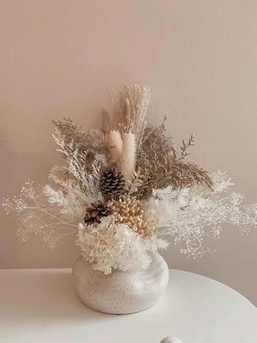 NEU Weißer Trockenblumenstrauß Konservierte Hortensien Natürliche Blumen Hybridstrauß Hochzeit Home Decor-C Keine Vase-20-30CM Keine VASE