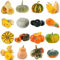 kürbissamen kaufen,zierkürbis zierkürbisse samen - saatgut, samen gemüse alte sorten kürbis samen bio garten, alte gemüsesorten samen bodendecker samen winterhart, wintergemüse samen 80pcs