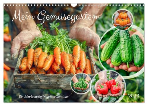 Mein Gemüsegarten - Ein Jahr knackig frisches Gemüse (Wandkalender 2026 DIN A3 quer), CALVENDO Monatskalender: Gärtner und Ernte, eine bunte Gemüsevielfalt in Bildern (CALVENDO Lifestyle)
