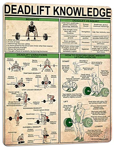 PAIION Deadlift Knowledge Metall Blechschilder Fitness Basics Infografik Poster Gym Wanddekoration Home Room Clubs 40,6 x 30,5 cm