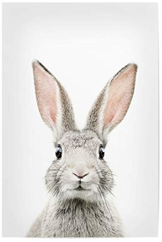 artboxONE Poster 45x30 cm Tiere Baby Bunny hochwertiger Design Kunstdruck - Bild Bunny Rabbit