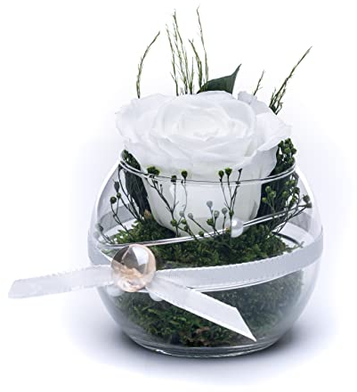 Rosen-Te-Amo |Ewige Rose im Glas mit Rosenduft, handgefertigt, weiß|Echte Rose in Geschenkbox |Geschenk für Frauen, Mama|Konservierte Blume zum Weihnachten, Valentinstag, Muttertag, DekoGeschenk