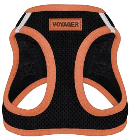 Voyager Step-in-Air-Hundegeschirr, Allwetter-Netzgewebe für kleine und mittelgroße Hunde, von Best Pet Supplies – orangefarbener Rand, Größe XL