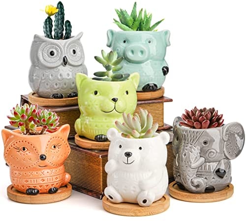 Frcctre 6 Pack Succulent Planter Pots, Small Ceramic Succulent Pots with Drainage and Bamboo Tray, Cute Animal Planting Pot Flower Pot Indoor Plant Pot for Succulent, Cactus, Garden, Home Decor
