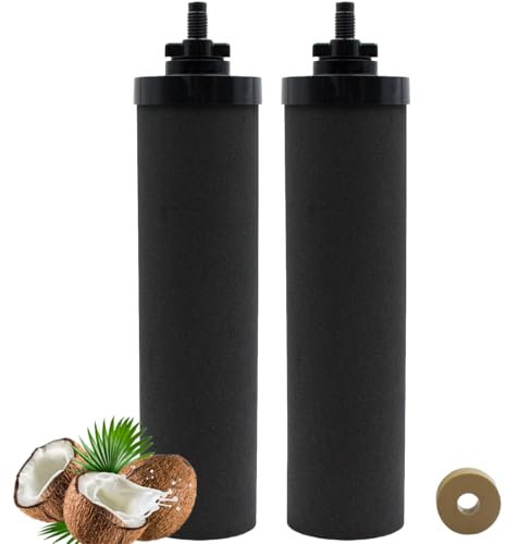 Lot de 4 filtres à eau de rechange pour Berkey, éléments de purification noirs pour système de filtration par gravité BB9-2