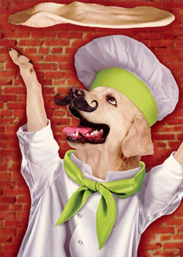 Portal Publications Dog Throwing Pizza Dough Funny / Humorous Birthday Card