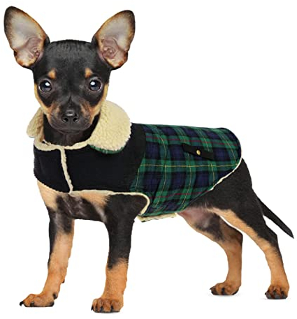 CITÉTOILE Warme Hundemantel Fleece, Wintermantel Winterjacken für Kleine/Große/Mittlere Hunde, Hundejacke Hundekleidung Hundepullover mit Geschirrloch für Outdoor Indoor, Grün, XS