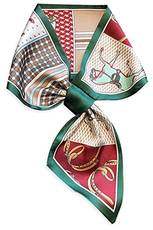 LumiSyne Seidenschal Damen Skinny Schal Einfacher Durchziehen Design Französische Vintage Stil Schmaler Lange Halstuch Leicht Satin Kleine Schal Dekorative Kopfschmuck Stirnbänder Haarband Ribbon