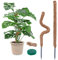 2 Pack Moosstab für Monstera - 60cm Biegsame Pflanzenstütze für Indoor, Handgemachte Coco Coir Pole Rankhilfe Unterstützung für Creeper Wachsen Nach Oben