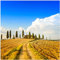 Wallario Glasbild Italien - Toskana unter blauem Himmel einsame Farm - 55 x 55 cm Wandbilder Glas in Premium-Qualität: Brillante Farben, freischwebende Optik