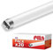 PILA Paquet de 20 tubes LED T8, 60 cm, 8 W (= 18 W fluorescent), 800 lumens, non dimmable, 230 V ou ballast EM, IRC80, lumière blanche neutre (4 000 K), culot G13, durée de vie 20 000 h