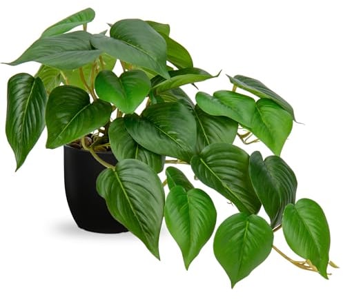 Hollyone Plantes artificielles dans des pots noirs, faux jade pothos décoratifs, plantes d'intérieur réalistes pour décoration d'intérieur, salle de bain, salon, cuisine, étagère, décoration de bureau