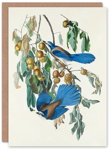 Artery8 John James Audubon Art Card Florida Jay and Persimmon Tree