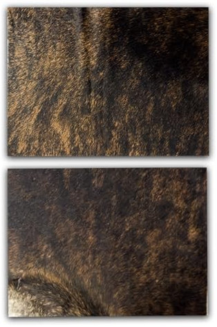 unendlich schoen - 2er Platzset Platzdeckchen, echt Kuhfell abwaschbar, Tischset natürlich rutschfest, Deko Telleruntersetzer Esstisch Wohnzimmer (braun gestromt, 40 x 30 cm rechteckig)