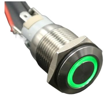 16mm Stainless Steel Metal Push Button Switch Momentary/Latching Led 6/12/24/220V With Fixation Power Start Stop Turns On/Off(Green Circular Arc,110V)