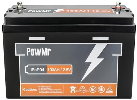 LiFePO4 Batterie au lithium 12,8 V 100 Ah 1280 Wh avec BMS 100 A + cycle profond 4000 + pour camping-car, bateau, maison, kit de panneau solaire, camping (prend en charge 4S4P)