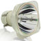 Starlight Lampe de Projecteur Ampoule UH P 190/160W 0.8 pour In focus SP-LAMP-039, IN2102 IN2102EP IN2104 IN2104EP IN25 IN27 IN27W IN20 IN2100 IN2100EP IN25+
