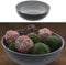 Cepewa Dekoschale │ Ø30cm x H10cm Kunststoff grau schwarz │ Obstschale rund Tischdeko (1 x rund grau schwarz Ø30cm)