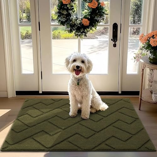 Biscpro Fußmatte Innen Außen Waschbar eingangsteppich innen Schmutzfangmatte rutschfest,Türmatte Innen Teppich für Eingang, Patio, Flur, Garten, Innen und Außen (Oliver Green, 80 x 120 cm)