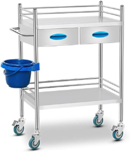 Medizinischer Laborwagen, Edelstahl, 2/3-stöckig, Servierwagen mit zwei Schubladen, für Labor, Spa, Schönheitssalon, Klinik, Küchengeräte (Größe: 60 x 40 x 86 cm, Farbe: 2 Ebenen)