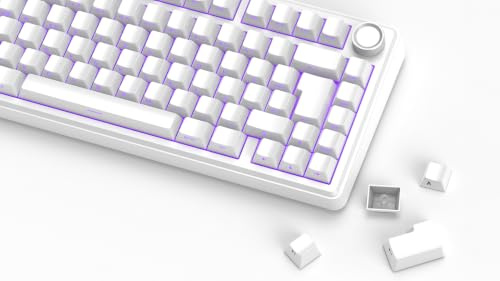 OMOTON PBT Tastenkappen 127 Tasten ISO & ANSI, Side Printed Cherry Profil | Double-Shot, für RGB-Tastaturen, ISO-DE QWERTZ, mechanische Tastatur, 60% TKL 100%, MX Switches