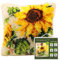 Myriad Choices Knüpfteppich Zum Selber Knüpf-Sets mit Kissen knüpfen-Set 43x43cm Kissenbezug-Set für Erwachsene und Kinder Latch Hook Kit Heimaccessoire, Wandkunst (Sonnenblume)