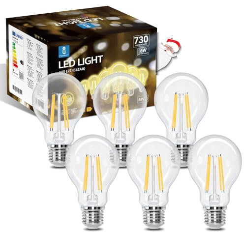 Aigostar LED E27 Vintage Glühbirne 6W (Ersetzt 55W), 730 Lumen, Warmweiss 2700K, Abstrahlwinkel 330°, A60 Edison Lampe Filament Retro Transparent Flimmerfrei, CRI>80, 6 Stück