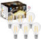 Aigostar LED E27 Vintage Glühbirne 6W (Ersetzt 55W), 730 Lumen, Warmweiss 2700K, Abstrahlwinkel 330°, A60 Edison Lampe Filament Retro Transparent Flimmerfrei, CRI＞80, 6 Stück