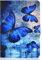 Bspring Funda para Tablet Amazon Kindle Fire HD 8 y Fire HD 8 Plus (12ª/10ª generación, versión 2022/2020 - Slim Smart Cover Funda Protectora de PU Cuero,Mariposa Retro