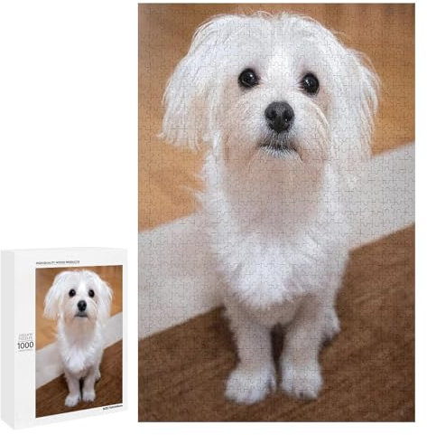 Jigsaw Puzzles Maltese Dog Animal 1000 Pieces Jigsaw Puzzle Challenging and Stimulating Puzzle Game Wall Art Unique Gift, Style-10