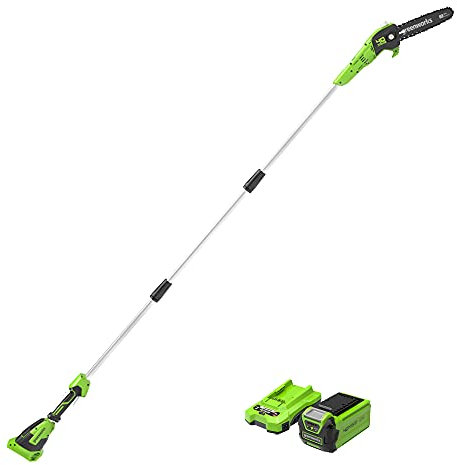 Greenworks 40 V 20 cm Sega ad Asta, Velocità Catena 9,8 m/s, Lunghezza Fino a 2,8 m (con 2Ah Batteria e Caricatore)